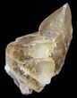 Dogtooth Calcite Crystal Cluster - Morocco #57373-1